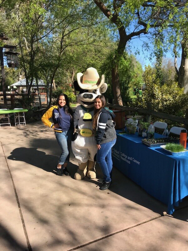 Tiffany Adams tweet media