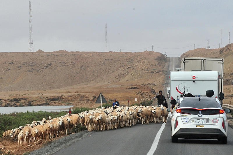 ToyotaMotorCorp's tweet image. Hello, Morocco! The Tarfaya Wind Farm is the largest wind farm in Africa with 131 wind turbines in operation. Perhaps fewer than the many goats we saw along the way. Onward for Dakar! fal.cn/45.u #PriusPHV #TeamACP