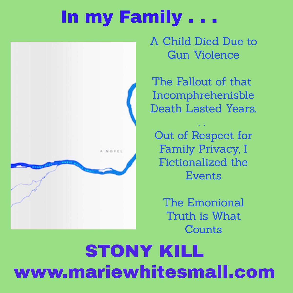 MarieWhiteSmall's tweet image. The long view of Gun Violence . . . 

amazon.com/Stony-Kill-Mar…