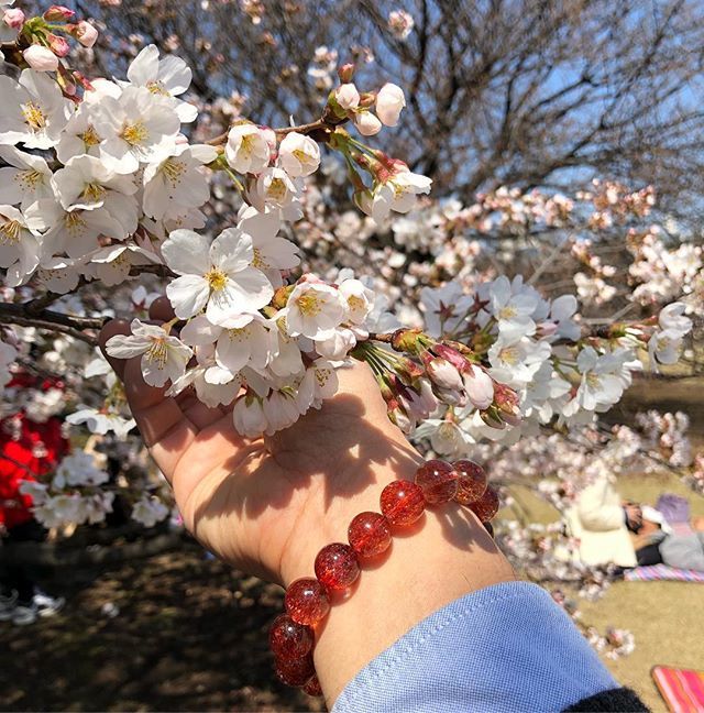 サクラファイアー🌸

#天然石 #パワーストーン #gemstone #premiumstonegallery #プレミアムストーンギャラリー #luckystone #桜が満開 #cherryblossom #firequartz #ファイアークォーツ