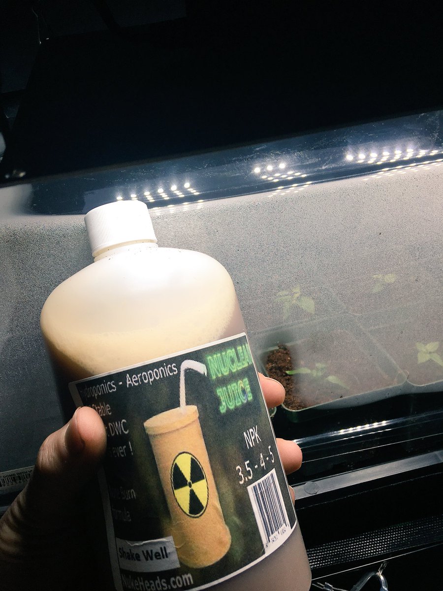 makehydroponics's tweet image. I’ll be trying out some Nuke Juice in an upcoming grow. Follow me on YouTube to see the progress @nukeheads #nukejuice