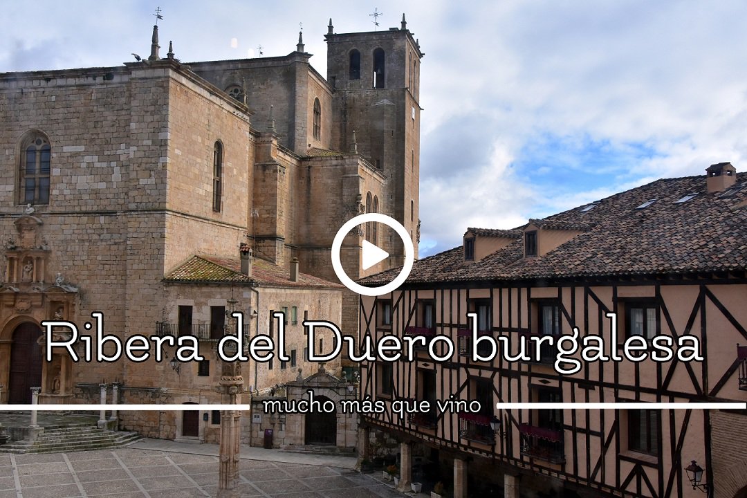 Vipavi_'s tweet photo. Bajo #riberadelduerocyltb y de la mano de @acriduero descubrimos muchos secretos de esta comarca. En este vídeo podéis ver lo divertido que fue el #findesemana 👉https://t.co/QwVfojpH38👈@ReservaDuero @MuseoAromas @ribiertete @InfoKotarr @TOPRIBERA @AutocaresBayo @scribocom https://t.co/xJGGXEmEjn
