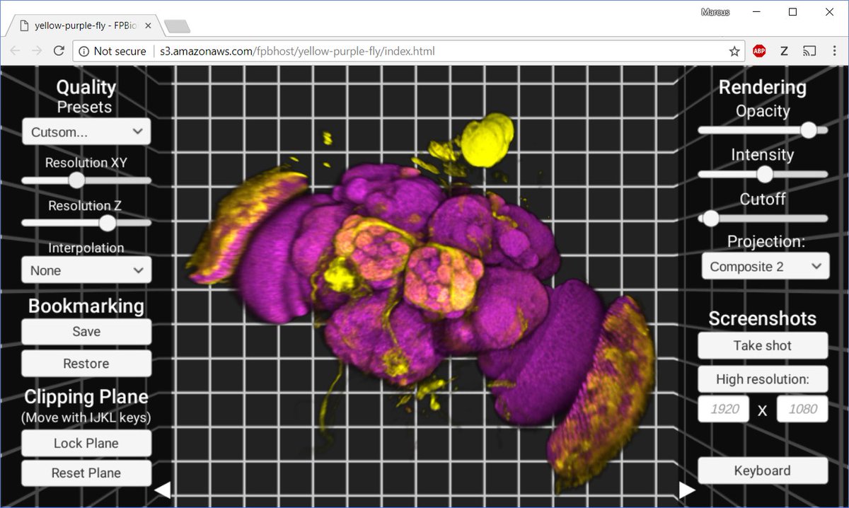 fantm_science's tweet photo. Nice to give my talk on the first day at #fom2018, now to relax and enjoy the rest of the conference! Visit the FPBioimage demo site to share your 3D data: https://t.co/vqvGZToPm4 https://t.co/tsfkpcZsBP