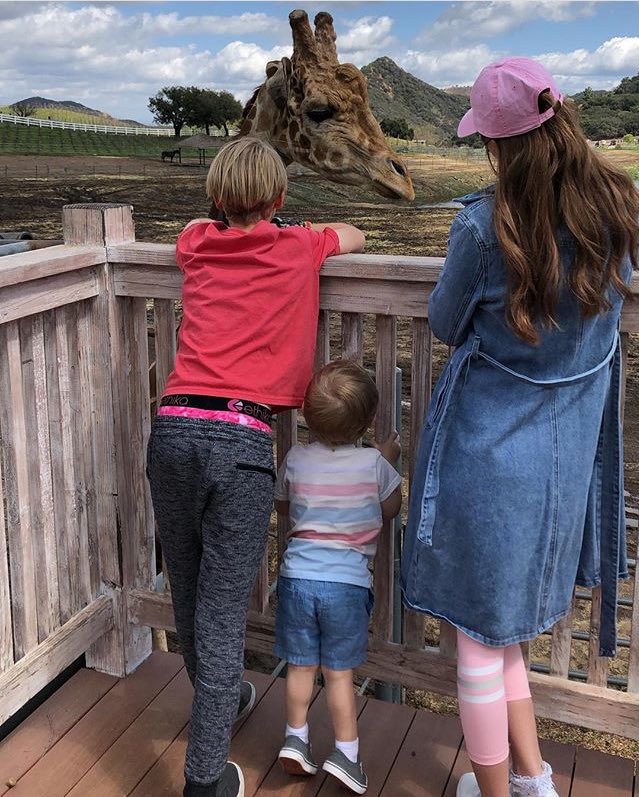 freddietommoBr's tweet photo. Novas fotos de Freddie e sua família em Malibu https://t.co/HikB3EVvwO