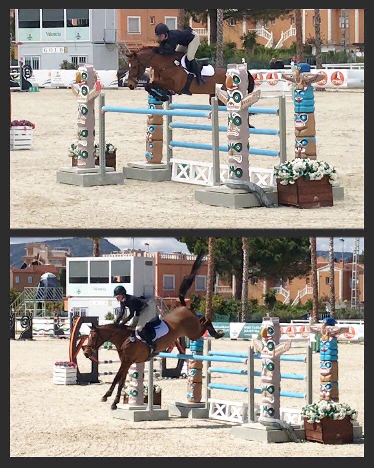 This horse is just so special 7th in the Big Class of the Day 1.45 2* Gold Tour yesterday out in Spain!