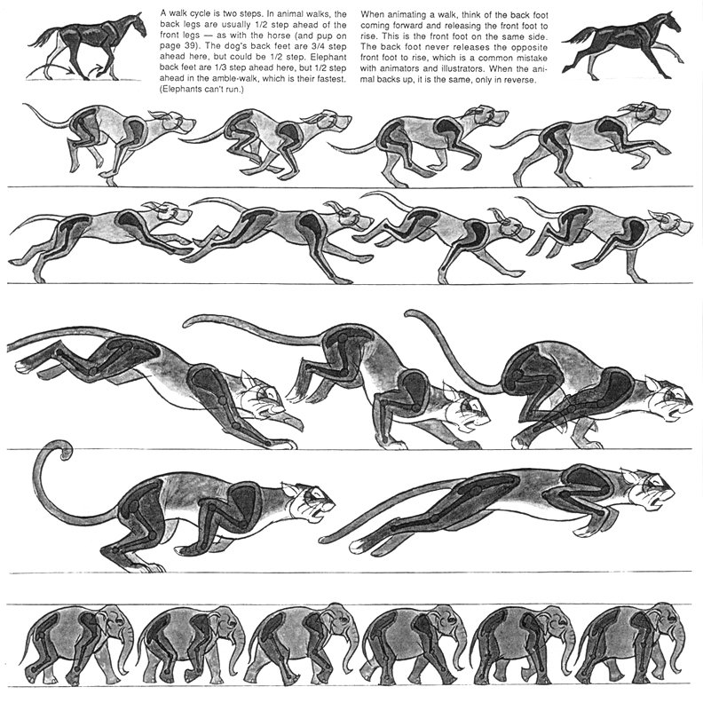 EtheringtonBrothers on X: "Our first feature reference set for  #SkillUpSunday today is this AWESOME set of ANIMAL ANIMATION frames from  Preston Blair! BEAUTIFUL examples of how much ENERGY and CHARACTER you can