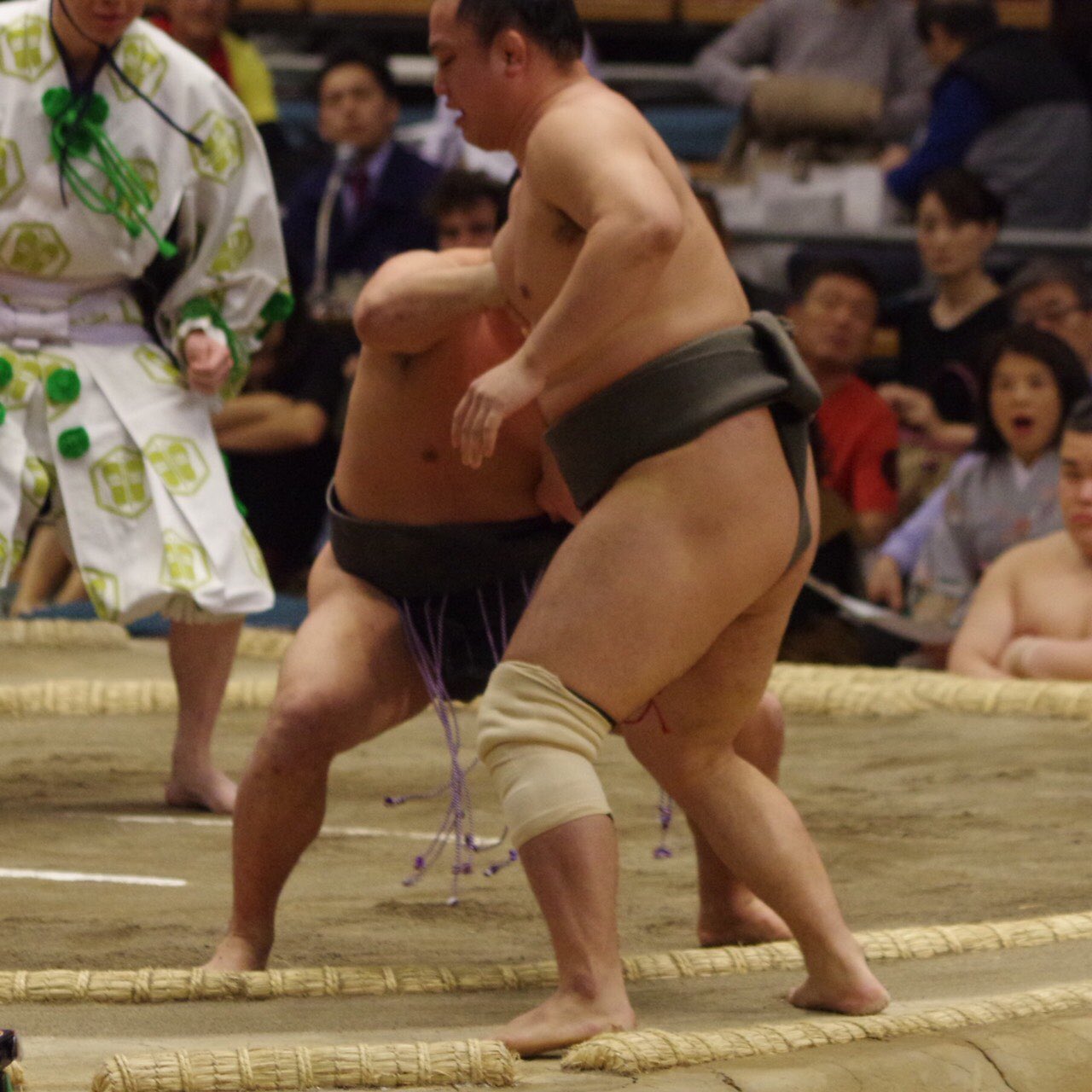 日本相撲協会公式 九月場所 前売券販売中 Lt 千秋楽の様子 Gt 幕下取組 翠富士 寄り切り 蘇 翠富士6勝 安芸の花 上手投げ 琴鎌谷 安芸の花 5勝 琴太豪 寄り切り 竜勢 琴太豪6勝 Sumo T Co Fxkhco5gwv Twitter