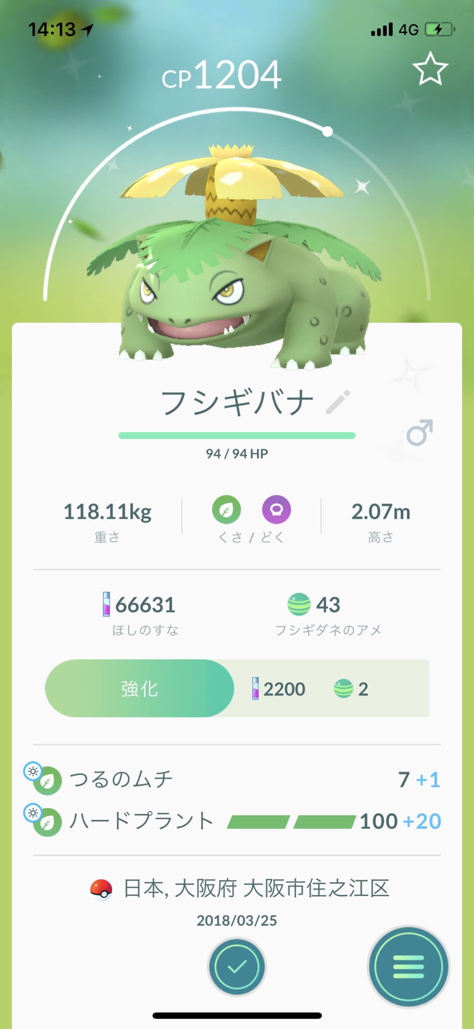 تويتر さいな على تويتر 色違い の フシギダネ を フシギソウ フシギバナ に進化してみた ポケモンgo Pokemongo Pokemongocommunityday T Co S7f6b2wotw