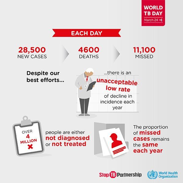 GlobalFund's tweet image. TB remains one of the world’s leading health challenges, causing 4,600 deaths every day. Urge your national leaders to support efforts to #EndTB #EndItForGood.

#WorldTBDay2018 #EndTBWeek