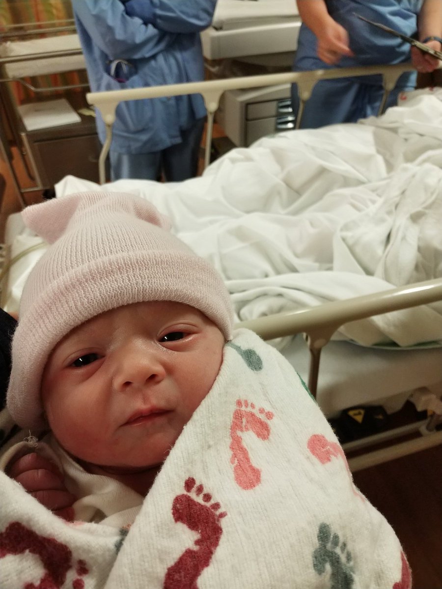 typie3_'s tweet photo. Meet miss Avaleigh!! 6lbs 19" long and beautiful! I'm a proud gammy! https://t.co/otzAY9KYNN