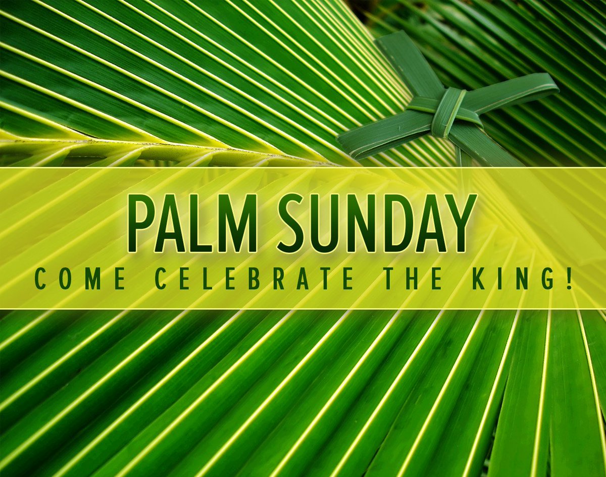 SubomiMacaulay's tweet photo. Today we celebrate Palm Sunday, the 1st day of the holy week remembering Jesus' triumphant entry into Jerusalem on the back of a donkey that had never been ridden before showing he came in peace. https://t.co/4mlszjfmma