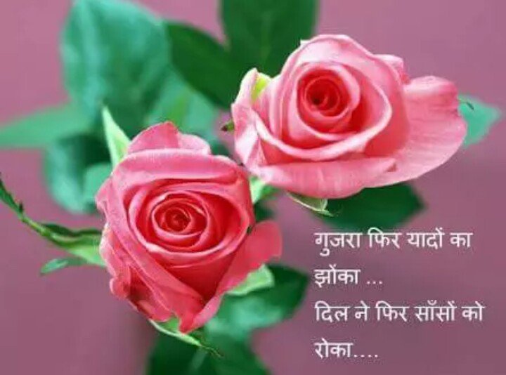 akit_shaikh's tweet photo. @BatraK9 @kssirone @binishraza @binakapur @TausifRefai @rinsha331 @ritu8860 @speakingmico @Anuradha3108 @Jameelsayyed @Rockonakib Behad Hasin Line https://t.co/aPkCdWBlqv