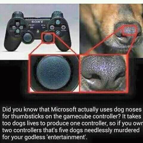 code_powered's tweet image. 🐶