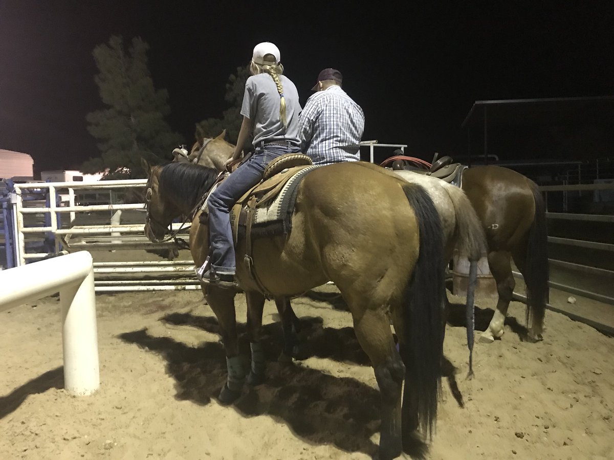 breachycattle's tweet photo. Great company🤠 roping with the Bowen’s https://t.co/gjSzXoMxhe