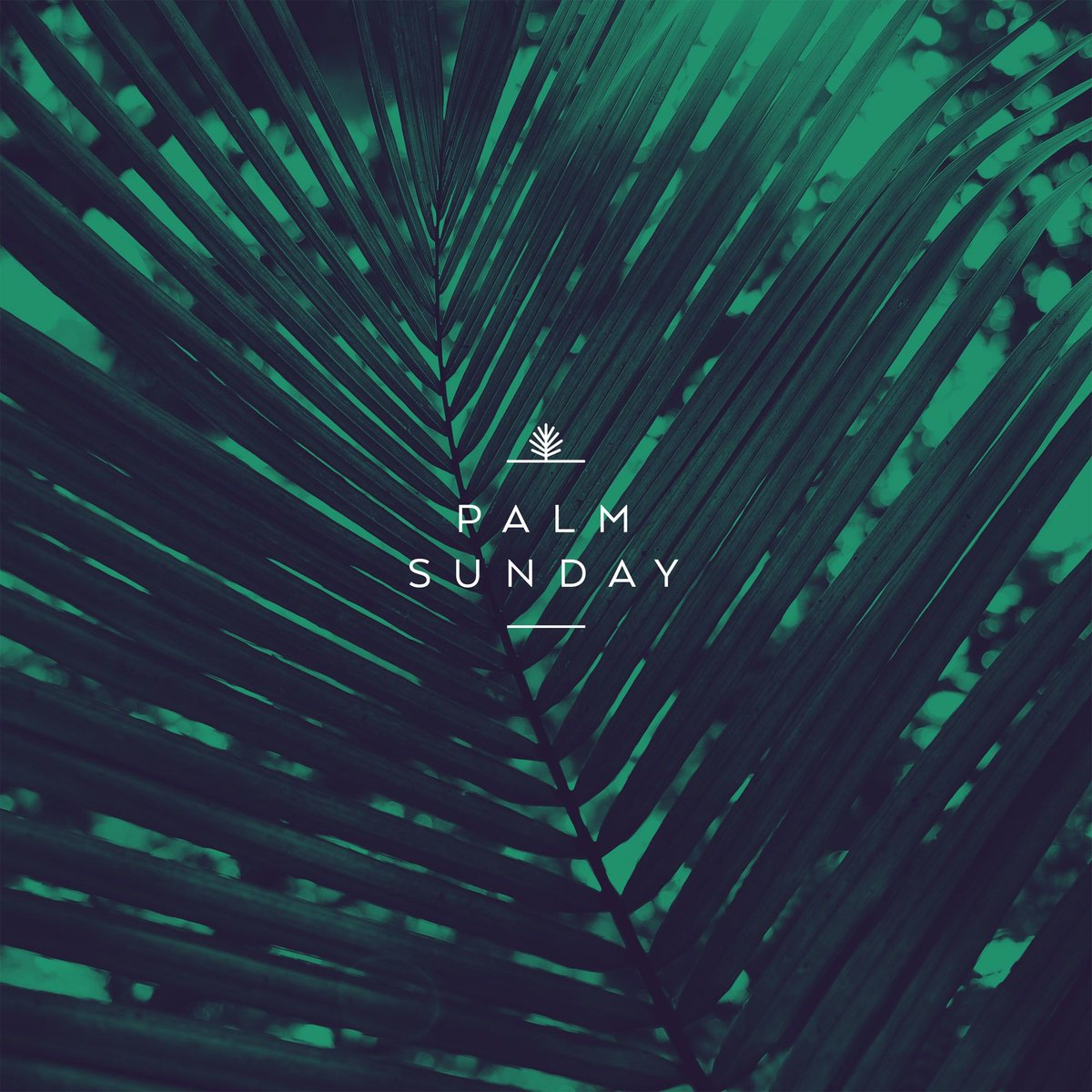 agapehouseghana's tweet photo. Hosanna! Blessed is he who comes in the name of the Lord! Join us this morning at 7:30, 9:30 or 11:30am for our Palm Sunday services. We're beginning a new sermon series called WAY MAKER, don't miss it!
#AgapeHouse #WayMaker #EasterForEveryone https://t.co/sgGEoDMjYD