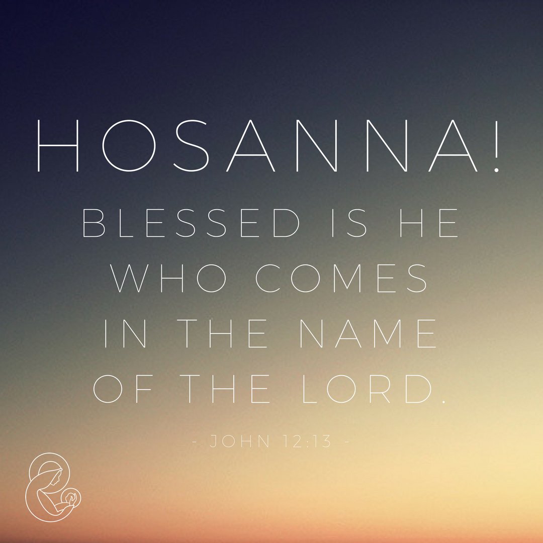 "Hosanna! Blessed is HE who comes in the name of the Lord."

May the start of your #HolyWeek be fruitful, focused and blessed.

#YTOL #ytolinternational #YATOL #ENSJ #EJNS #ENDG #ENDJ #Catholic #PalmSunday #Hosanna