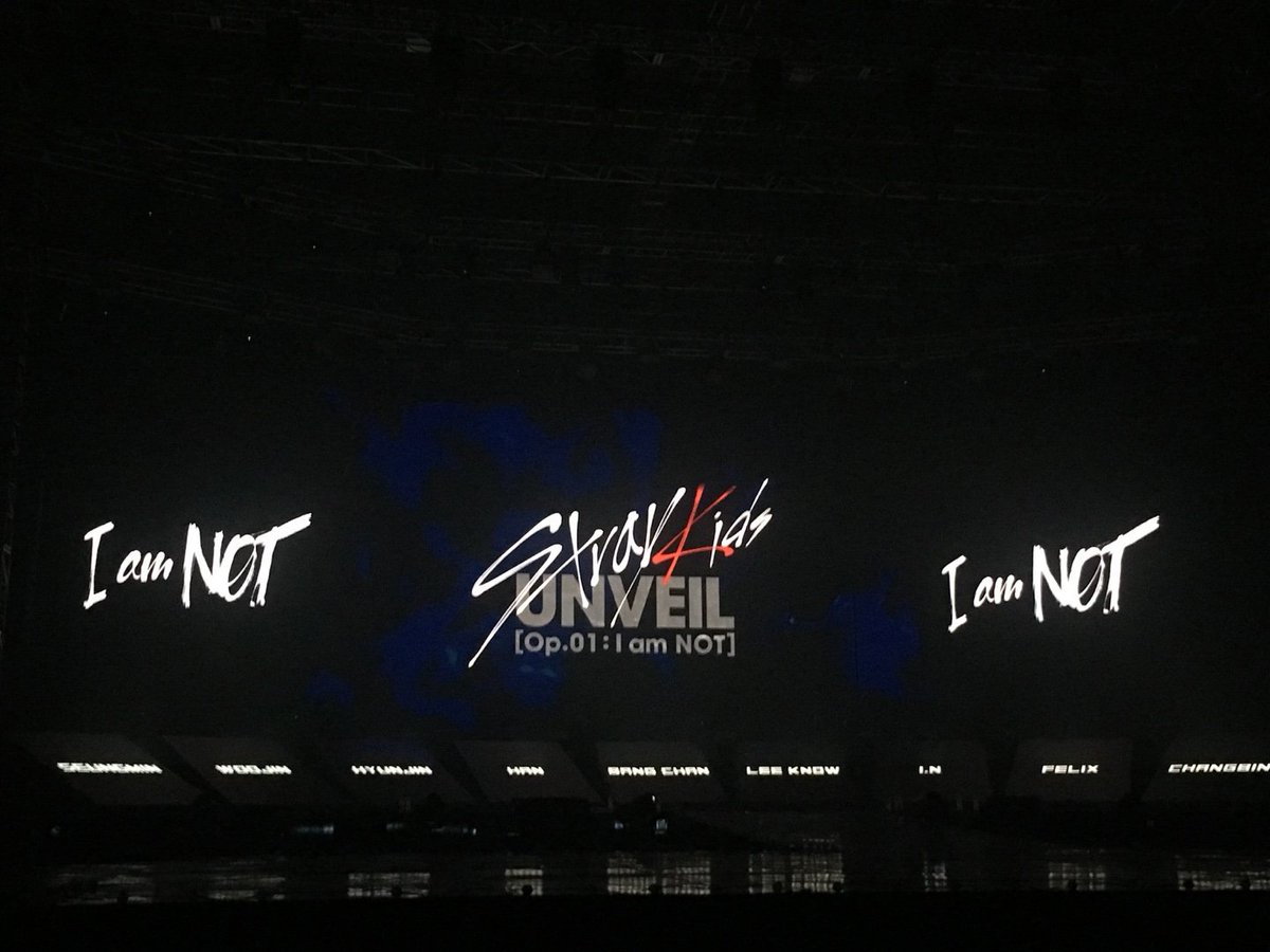 Stray Kids tweet media