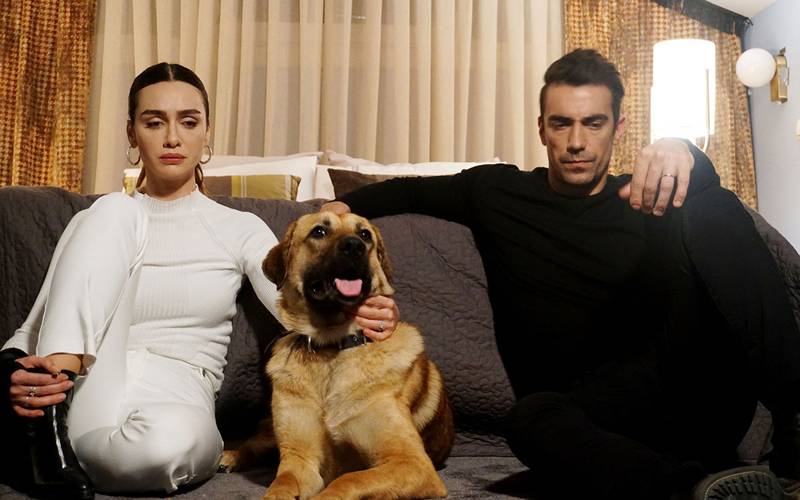 D YAPIM tweet media
