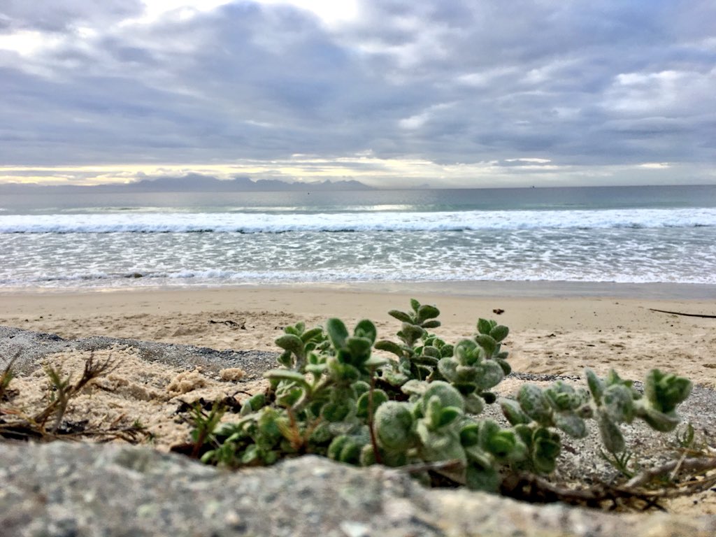mrsngood's tweet image. #Autumn #SundayMorning #MelancholicMood #Colours #Ocean #Shoreline #BeachSand #Vegetation #GorgeousMorning #ThankFullHeart #CapeTown #GlencairnBeach @ILoveGlencairn @GlencairnNHW @CapePoint_Route #WhiteFoamySeas
