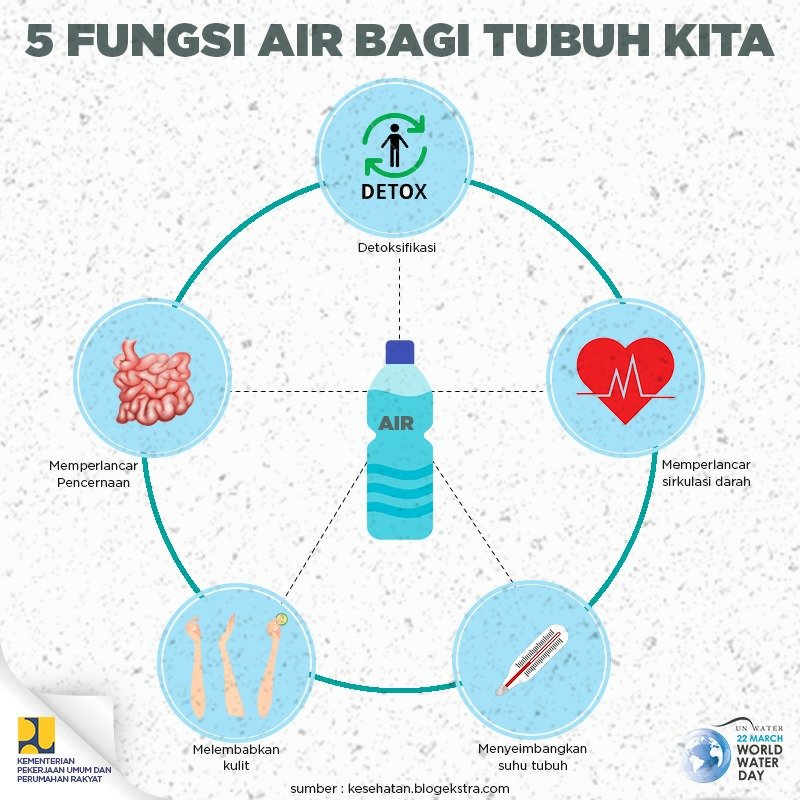 Apa Itu Air Pengertian Fungsi Sumber Dan Manfaatnya