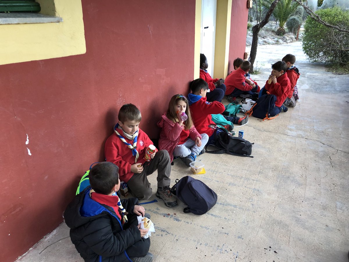 Grup Scout La Nucia tweet media
