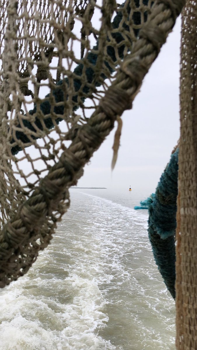 Ontdek het Wad met <a href="/janrotgans/">Jan Rotgans</a> tijdens de publieksdagen van het <a href="/AWC_Nederland/">AWC</a>! Ook vandaag nog! #explore #gonefishing #aanrader #vismigratierivier #blijevis