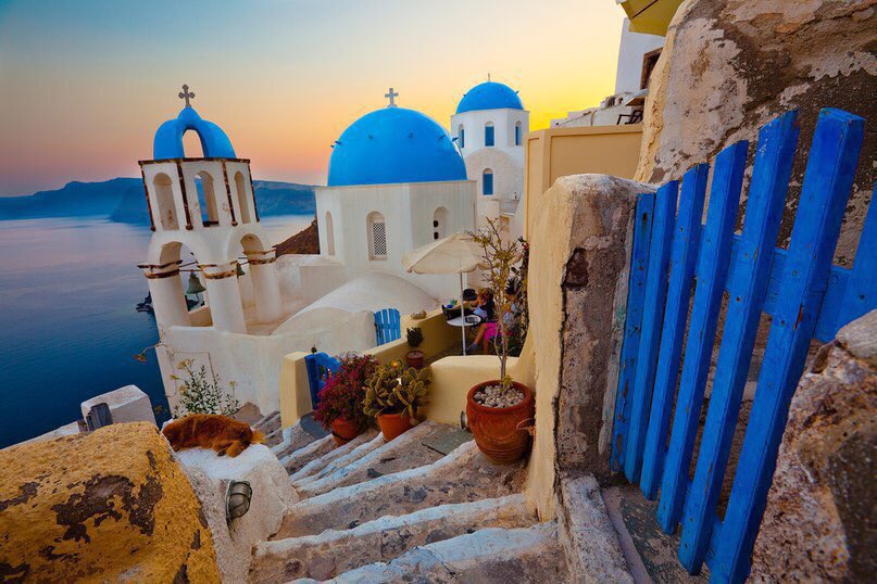 Travel Surfing tweet media