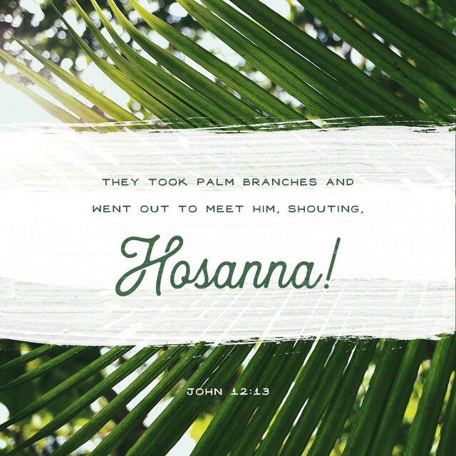 Palm Sunday #SundayMorning #Sovereign #Triump #HolyWeek