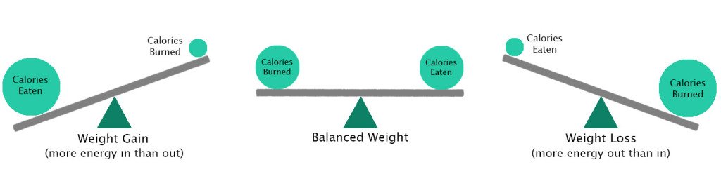 charlotte_shell's tweet photo. Calories and Fat Loss https://t.co/eDYZyxai4q https://t.co/VcnYKHaPA1