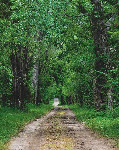 ActiveDSM's tweet photo. You don’t have to travel far to find inspiration. What's your favorite local spots to find adventure and get outside? Share with the rest of our Active Family in the comments below! // #activedsmfamily #shoplocal #explorebig #yourstoryisourstory https://t.co/V0mamJsX2R