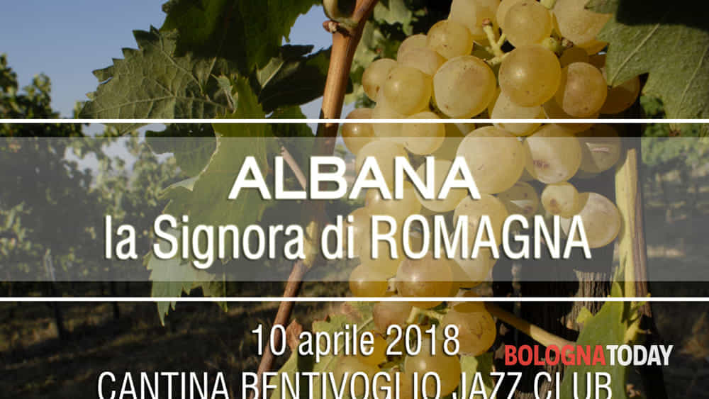 bolognatoday's tweet photo. Degustazioni: Albana, la signora di Romagna https://t.co/PK2CqBAN47 https://t.co/4b5NTBTjTz