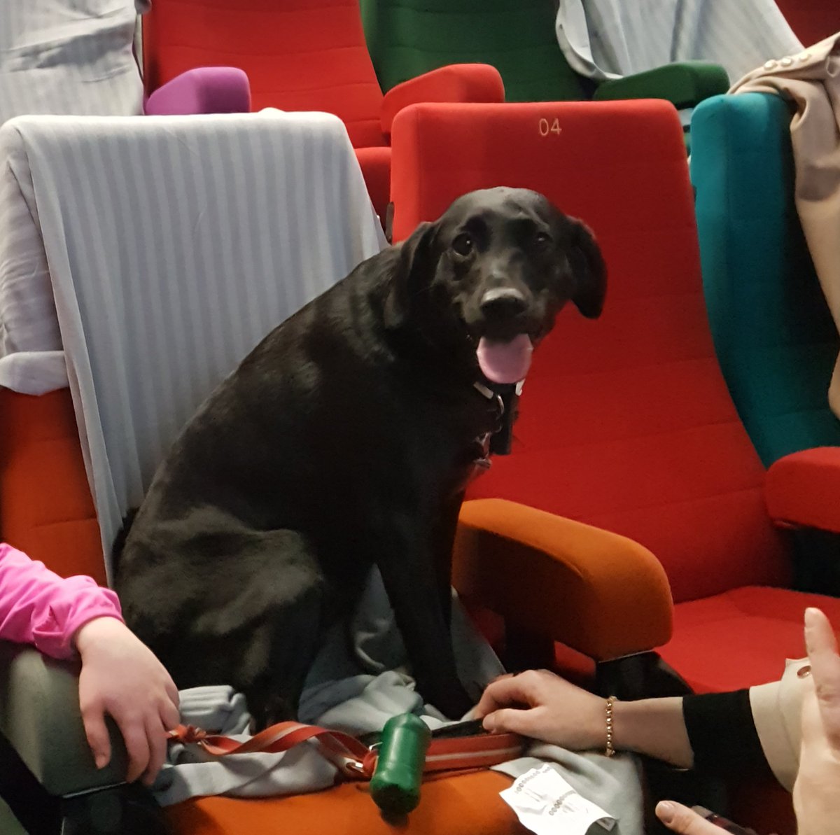 LightHouseD7's tweet photo. Joy...overload. 
#isleofdogs #dogfriendlyscreening https://t.co/2KA5pS6CIJ