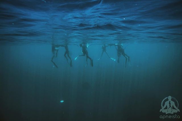 apneista's tweet image. Level 1course this week, loving the visability, summer is around the corner...#learntofreedive #apneistafreedivingbali #balifreediving #backpacking #freedivingholidays #freedivingcourse #bali #tropicaladventure #underwaterexplorers #clearwater #ocean #di… ift.tt/2HZsqVq