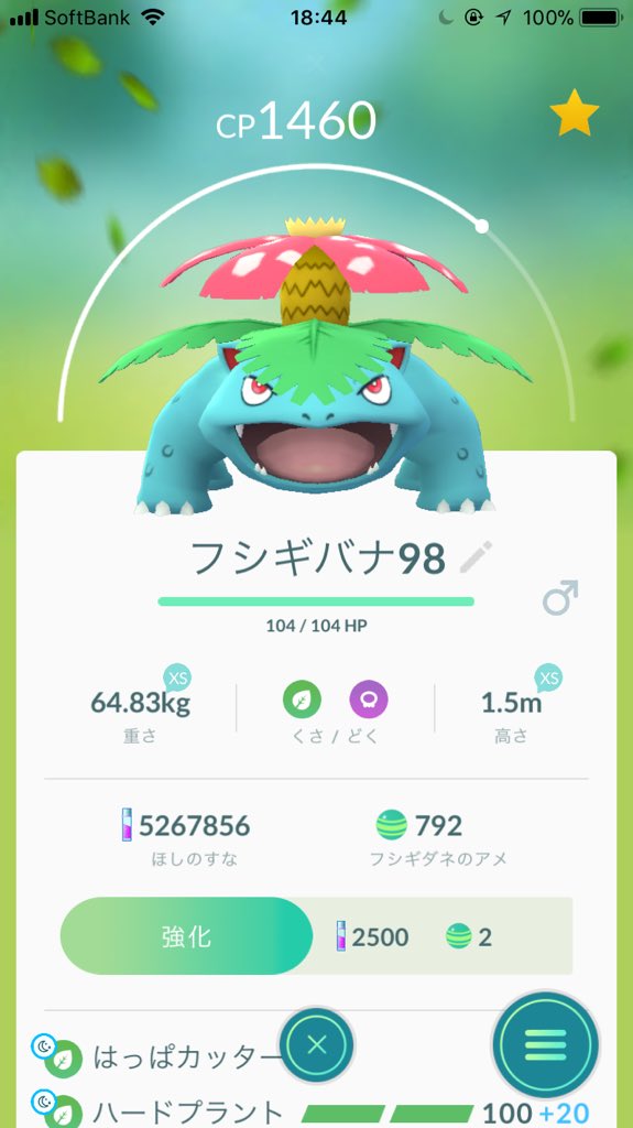 ハードプラント