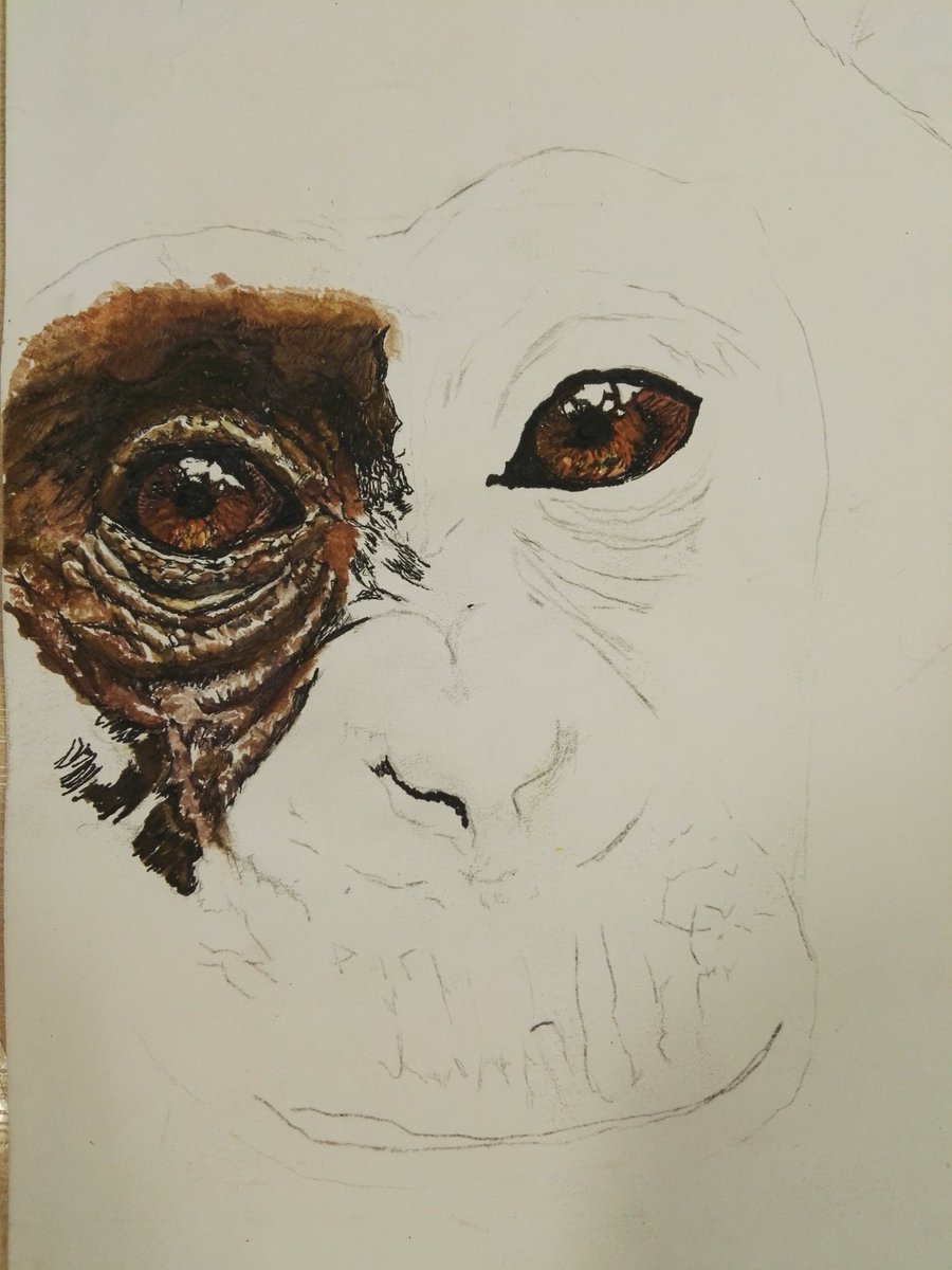 GrangeTechArt's tweet photo. Not even finished and the quality is amazing! So much talent here at #grangetech.

#granger #art #GCSE #gcseart #Bradford https://t.co/PeSpGJcPLX