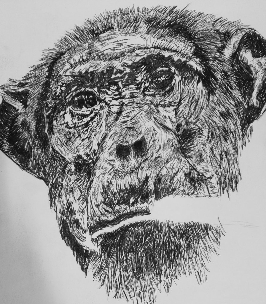 GrangeTechArt's tweet photo. Not even finished and the quality is amazing! So much talent here at #grangetech.

#granger #art #GCSE #gcseart #Bradford https://t.co/PeSpGJcPLX