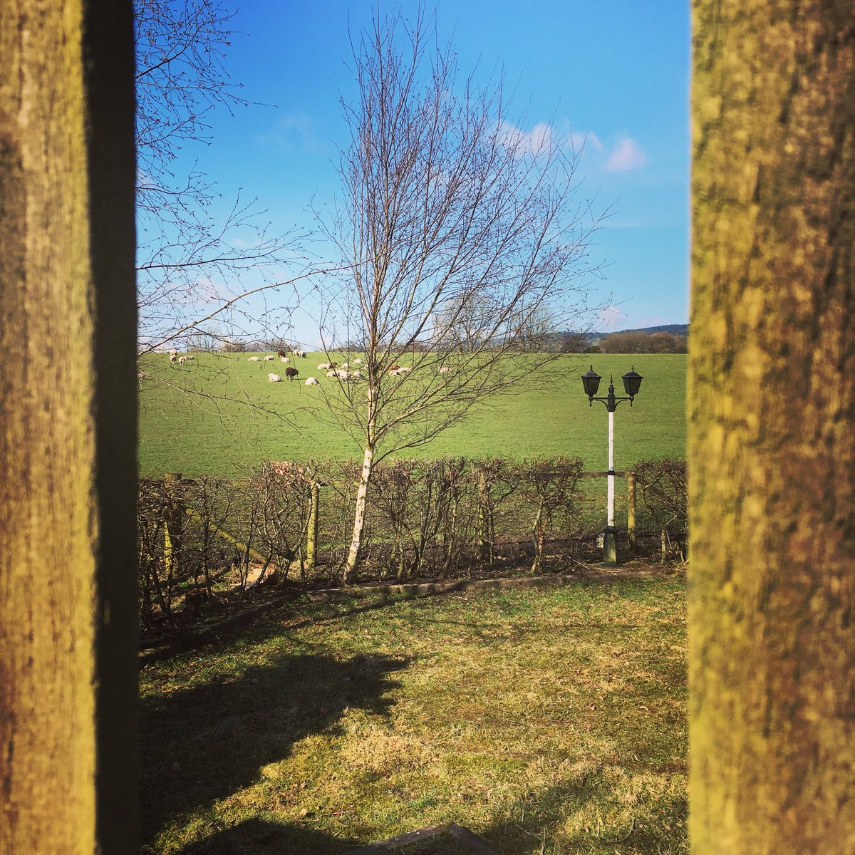 It’s Officially British Summer Time!! 🌞🌞 Come Down For A Roast Dinner &amp; Maybe Enjoy A G&amp;T or a Pint in the Sun Afterwards! 🍺🍹 BST #BritishSummerTime #Summer #BeerGarden #Pint #GinNTonic