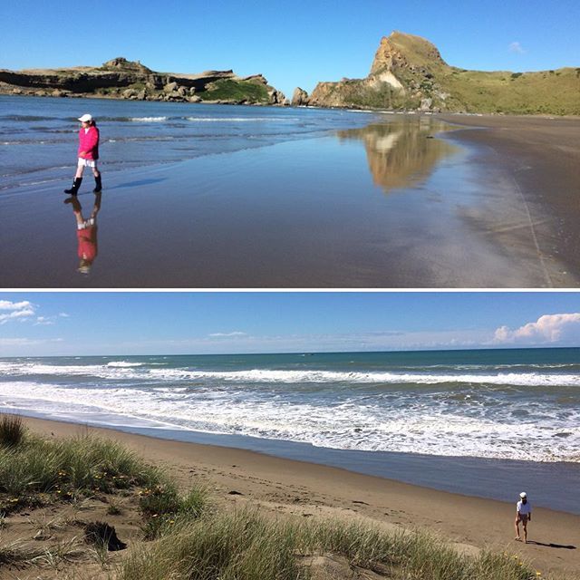 parkecology's tweet photo. Wairarapa put on a cracker for the final day of the Coastal Restoration Trust of NZ post-conference. The sand dunes at Castlepoint and Riversdale are looking great despite big challenges @greaterwellington @docgovtnz #sealevelrise #coastalrestoration #communityaction #sanddu… https://t.co/ni0J0IfnTU