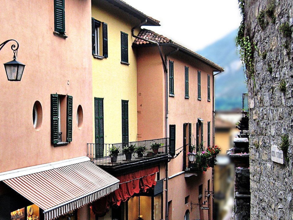 Paul L. Knee tweet media