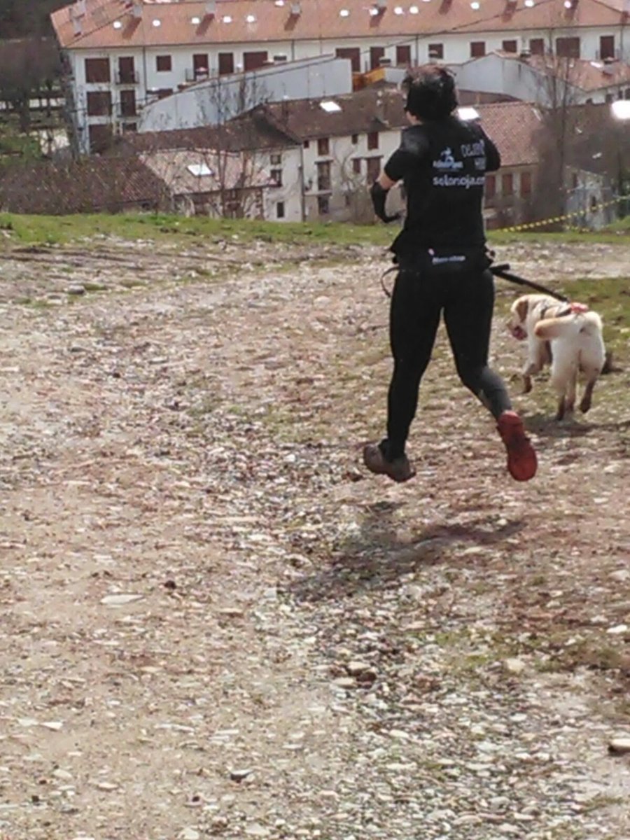 Clubvidaperra's tweet photo. Nuestras super Vir y Rubi hoy han tomado un muy buena decisión, despues de hacer las dos primeras etapas de #CanicrossDemandaXtrem , el no correr la ultima ya que Rubi no estaba comoda. Bien hecho equipo https://t.co/r8hr6jDLoz
