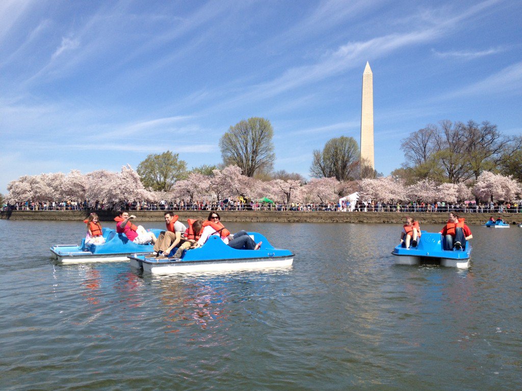 citiskopes's tweet photo. Try paddle boating in the Tidal Basin! Offers great views of the Washington Monument and Jefferson Memorial. #citiskopes https://t.co/zxLhuyGjOM
