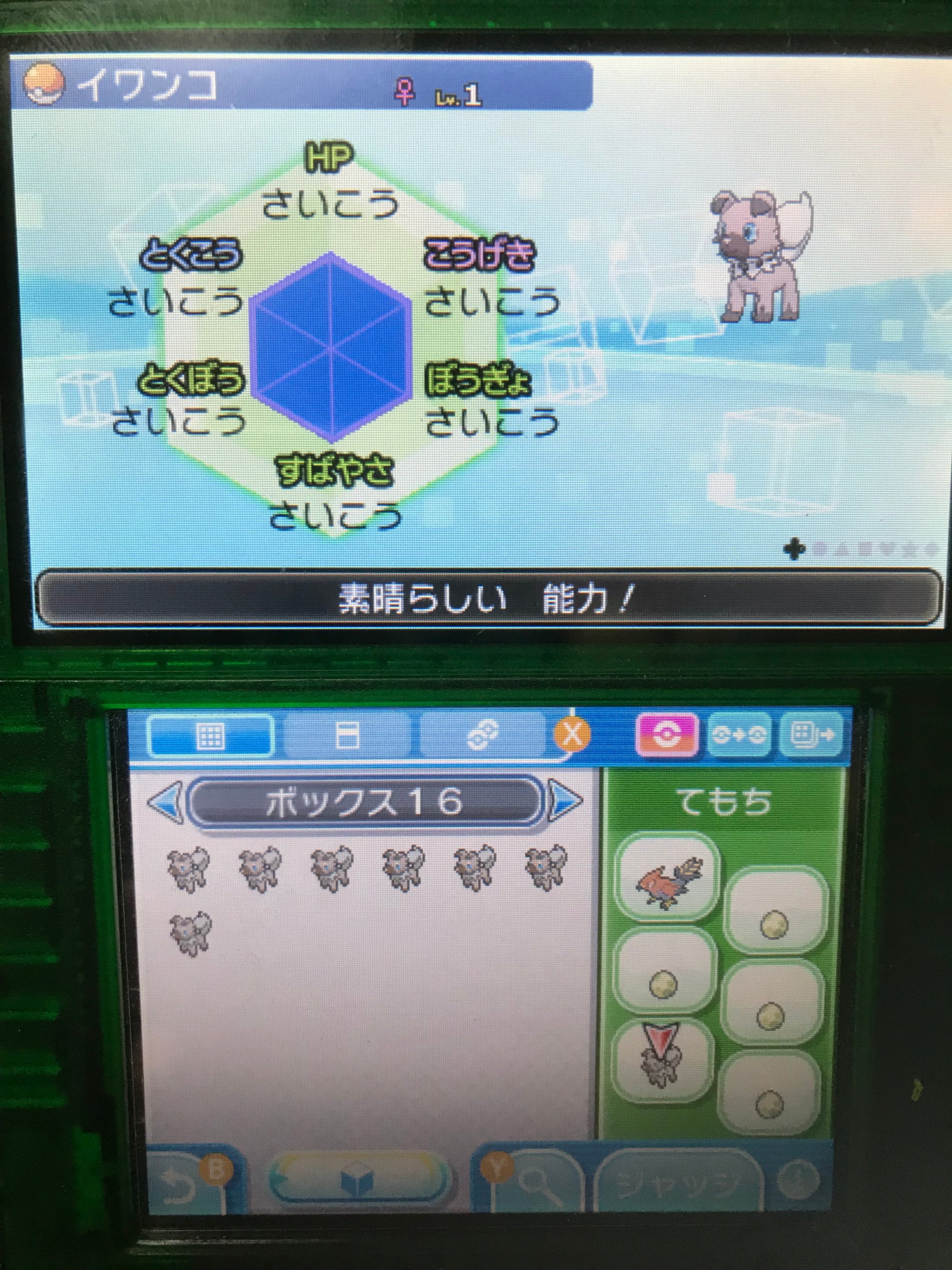 ポケモン6v記録 Twitter