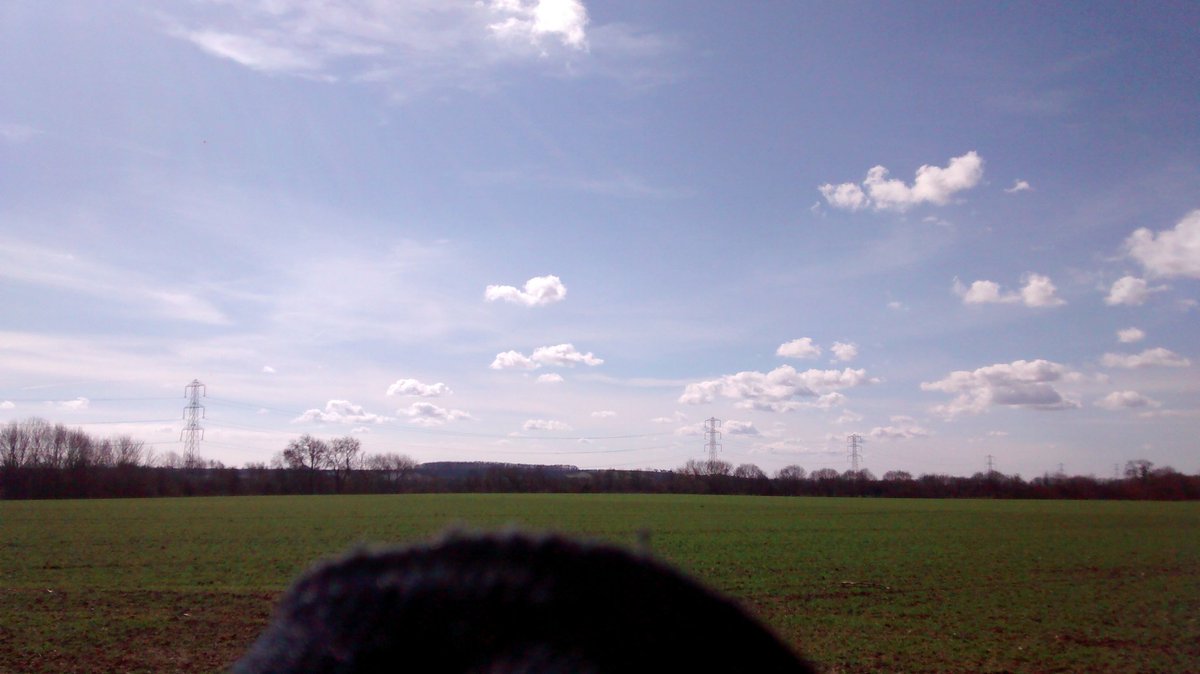 plasllanina's tweet image. Beautiful day and new friends...
#LetsGetOutside