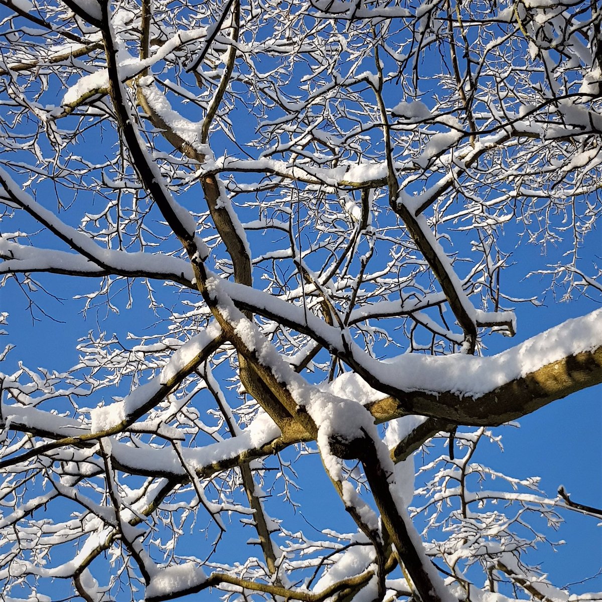 NettlesteadPL's tweet image. Winters done &amp;amp; Spring has sprung ❄️🌸 Nettlestead Place #npl #weddinghour #kentishweddings #SundayFunday #venue #gardens #stunning #winter #spring #weddings