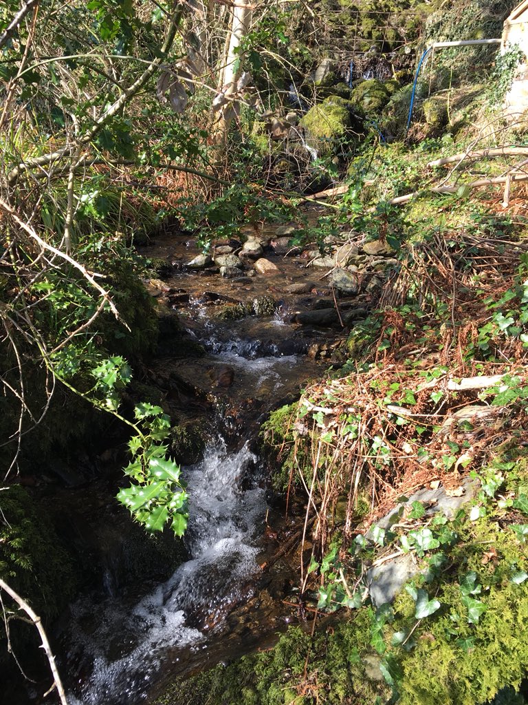 AlysColeKing's tweet photo. Sharing my favourite tiny stream. Amazing how different it looks today in the sun - sparkling in the light ❤️
#SpringEquinox2018 #SpringEquinox https://t.co/CL1oYFPD1s