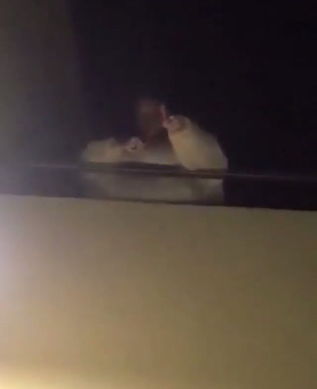 marta_andersone's tweet photo. so in this video Zach confirmed #jachary! All the fans were screaming is jachary real? And Zach said ''YES'' and then he went to Jack and hugged him! I literally started to cry when i saw this video! I am soo happy for them! I ship and love #jachary so much! ❤️😍😭 https://t.co/ERaeQyLLed