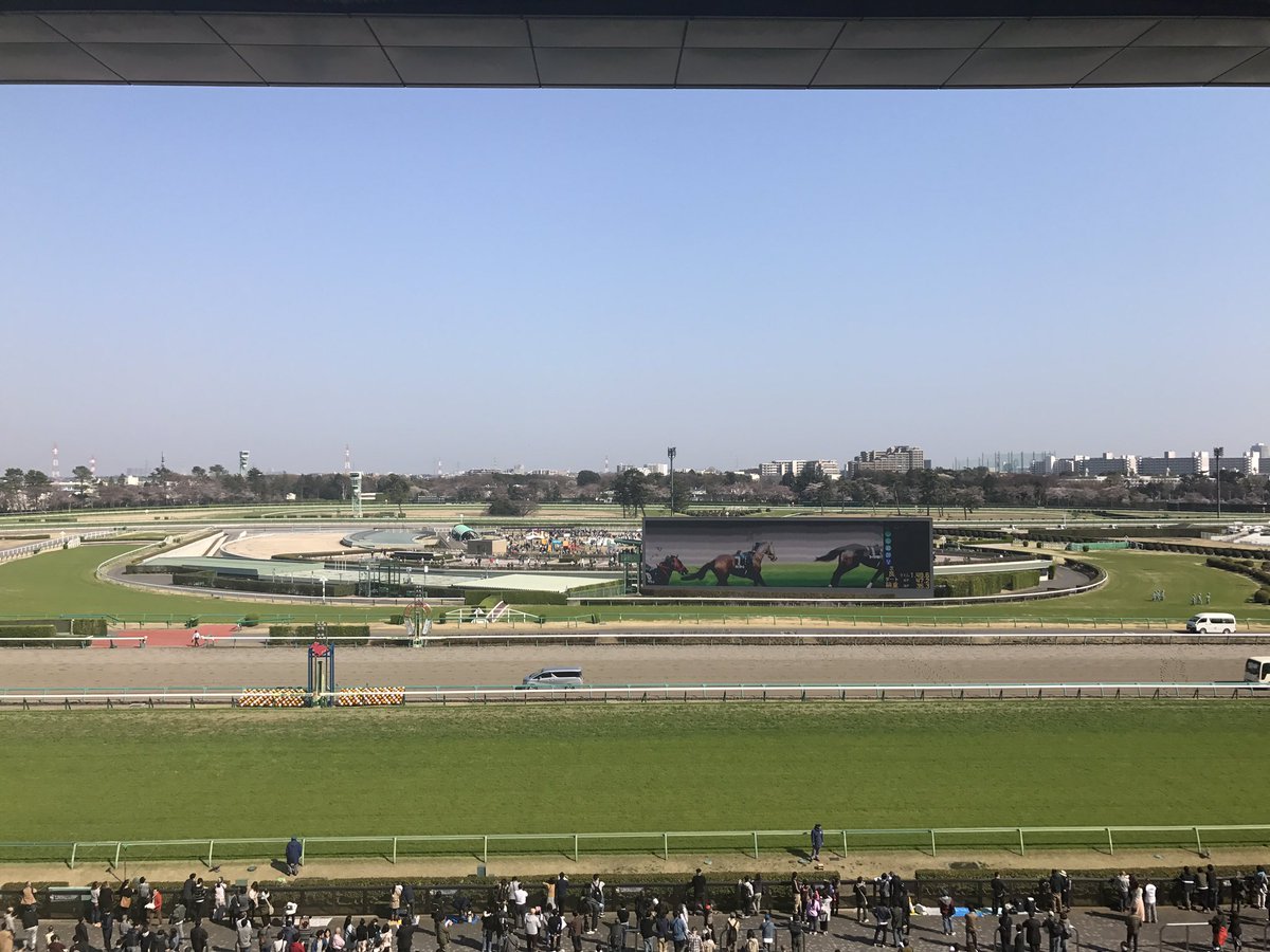 舘谷春香 たてはる Twitter પર 今日は 中山競馬場 へ行ってきました 天気が良くて気持ち良かった 勉強になりました 面白かった そして中京競馬場 高松宮記念 のアミーゴ馬券が大当たりでみんなで盛り上がりました すごい