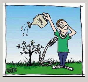 Tina Selsmark tweet media