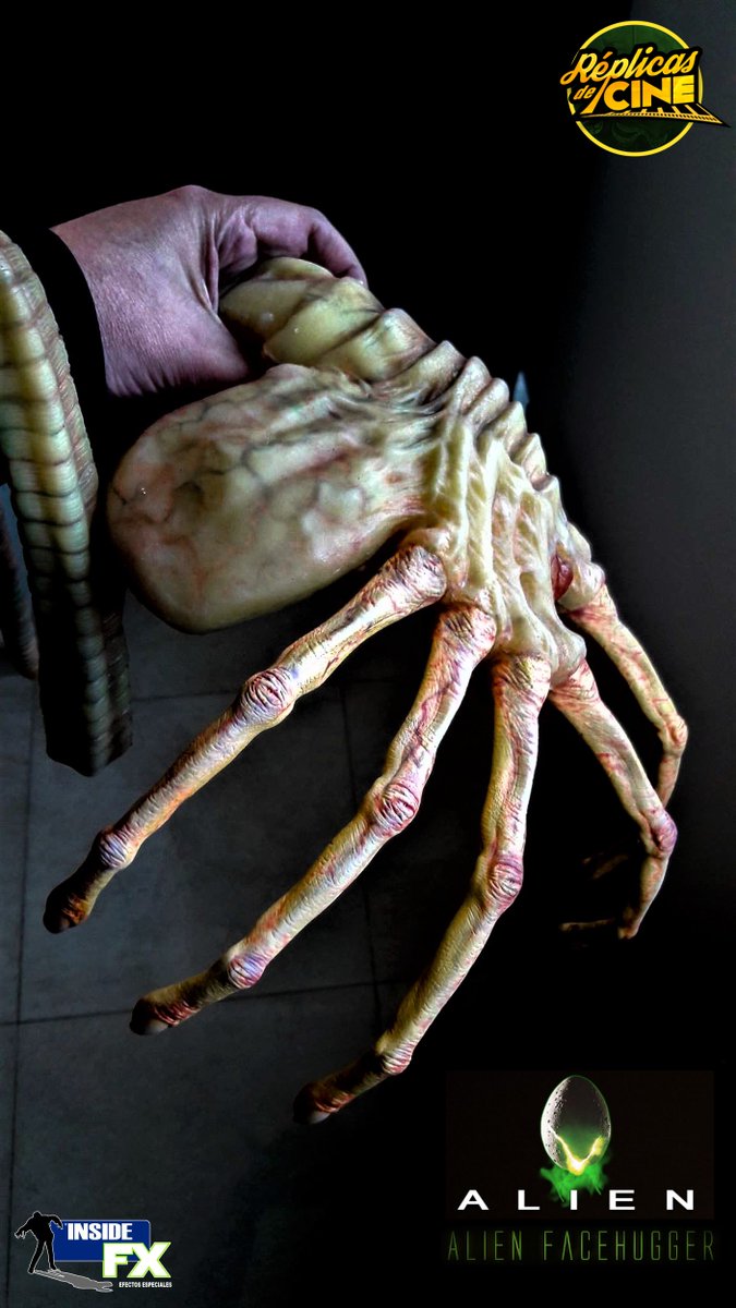 ReplicasdeCine's tweet photo. Es muy importante limpiar bien por los rincones, porque nunca se sabe que te puedes encontrar escondido en tu casa. #Alien #Aliens #facehugger #movieprops #replicasdecine #propsreplicas #props #malaga #Marbella #Sevilla #Madrid #Barcelona #Valencia https://t.co/uA6SaOnJ4V