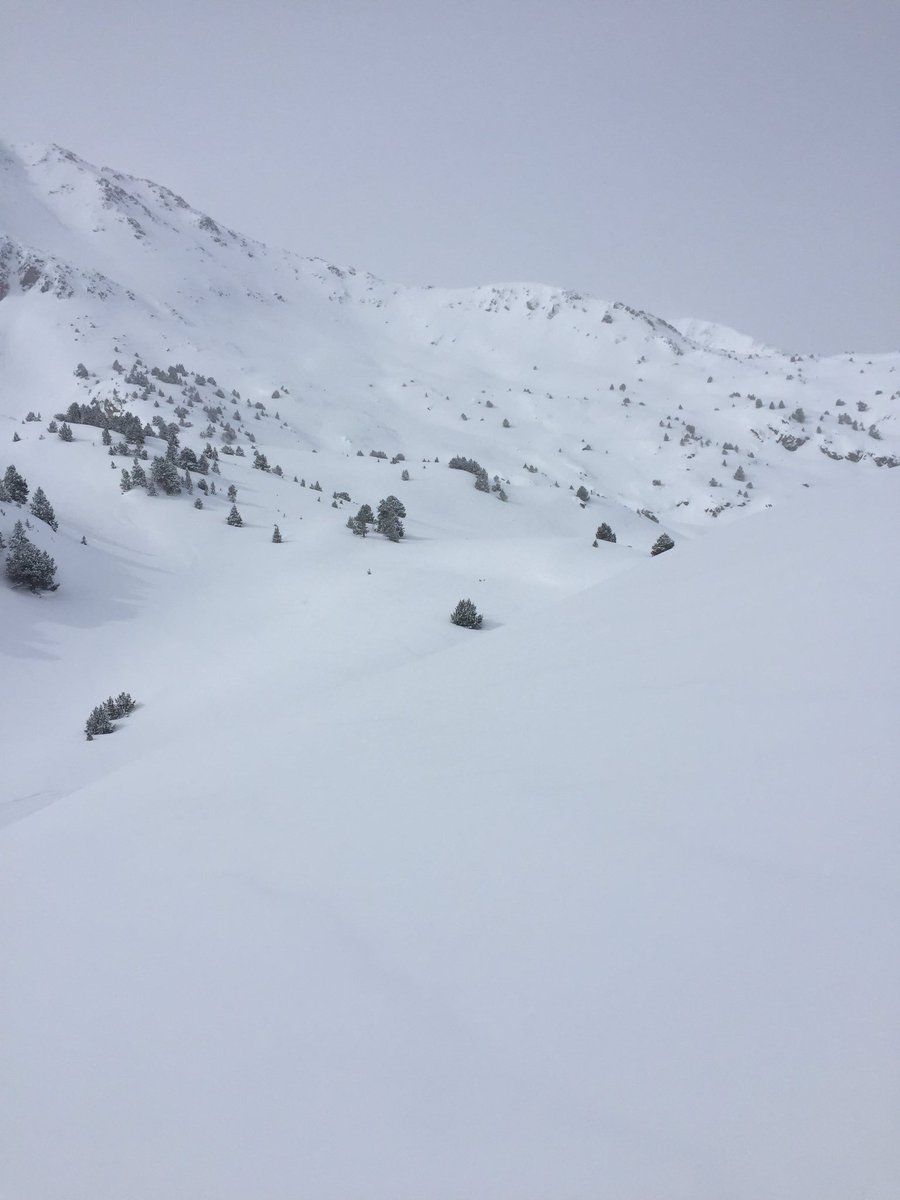 Unicorn House tweet media